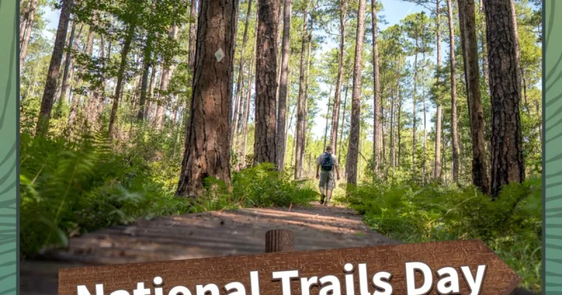 U.S. Forest Service celebrates National Trails Day with free access to national parks and greenlands