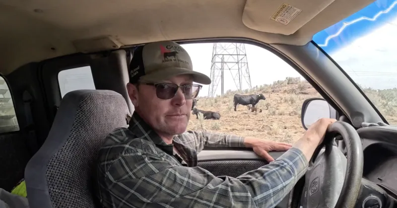 Cattle shot and killed in desert north of Wendell over Memorial Day weekend