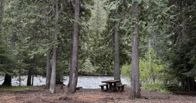 Vegetation Restoration Completed at Wendover and Whitehouse Campgrounds; Repairs Ongoing