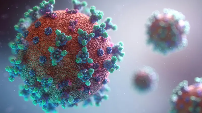 Vomiting Virus is Coming to Idaho and Soon