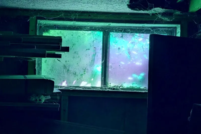 Eerie Reports Of Basement Demon, Dead Fish At South Idaho Home