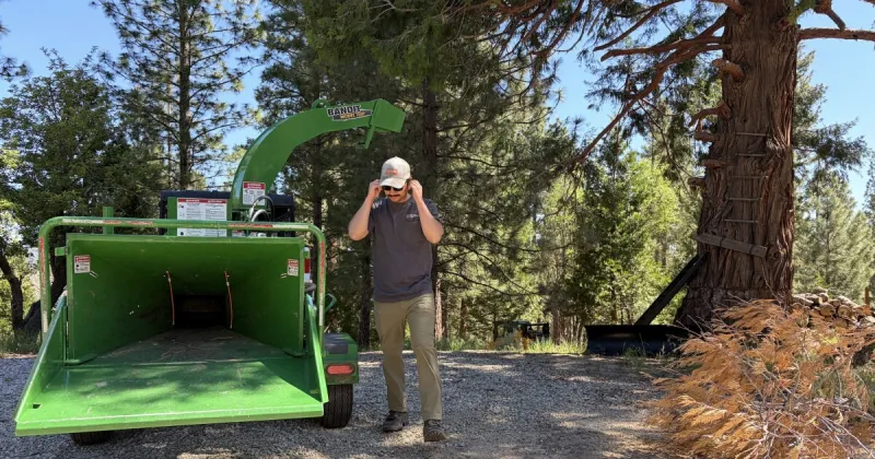 Nevada researchers target wildfire fuels in eastern Sierra forest with new federal funding