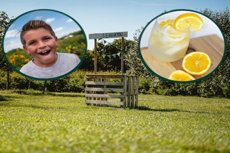 Opinion: Our Young Idaho Lemonade Sellers Could Use Our Business