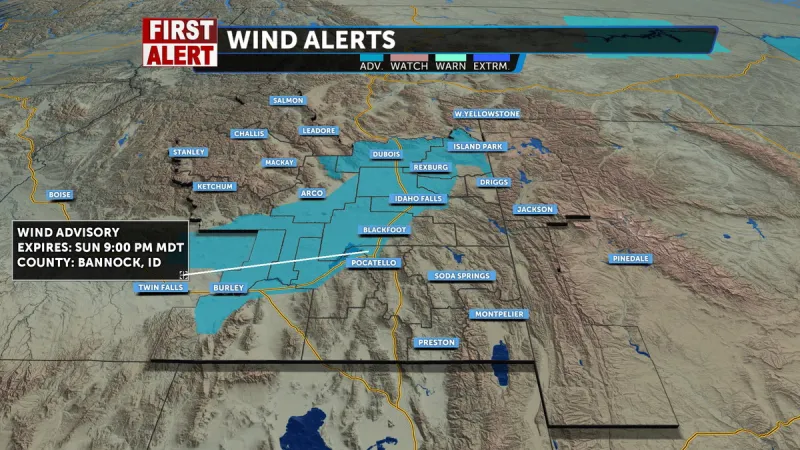 Wind advisory in place through Sunday as gusts could reach 55 mph