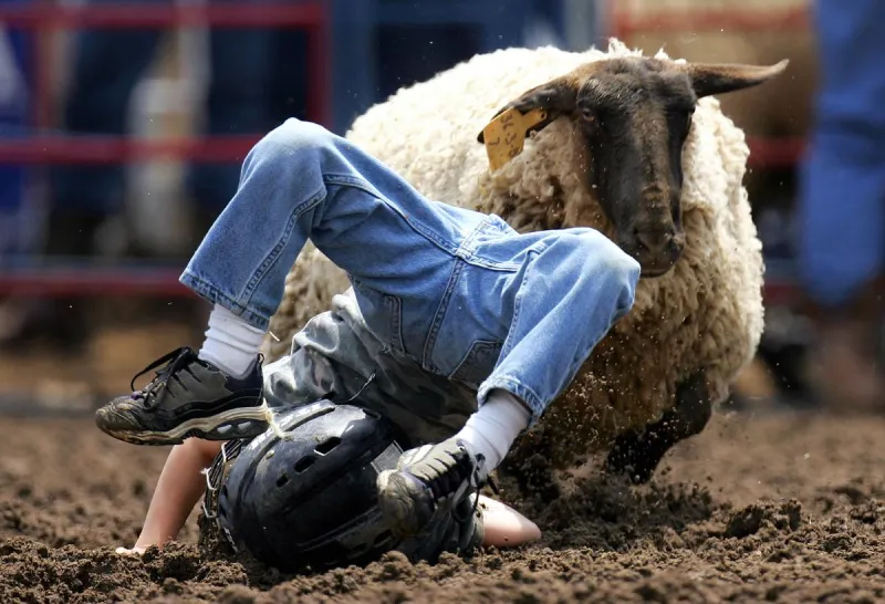 What You Need To Know About This Week's Eagle Rodeo