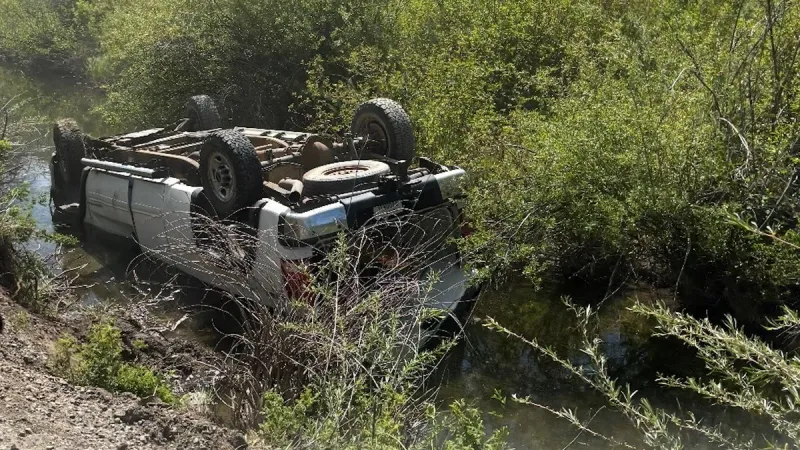 CPR trained passersby saves toddler from drowning after Swan Valley rollover crash