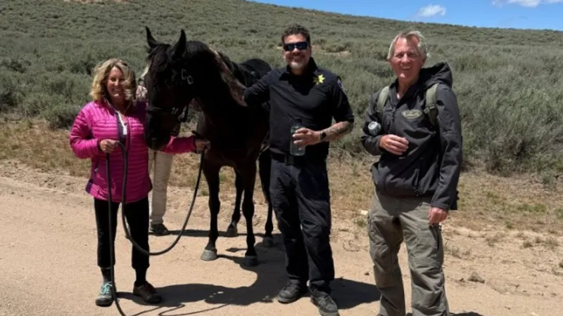Spooked horse bolts after 71-year-old rider thrown near Hailey