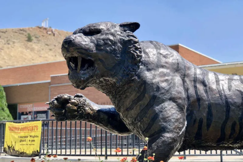 Idaho State Athletics announces 2026 Hall of Fame class