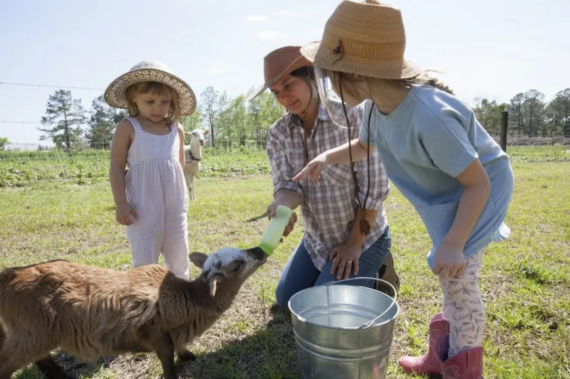 New Rigby private school makes farm chores part of the school day