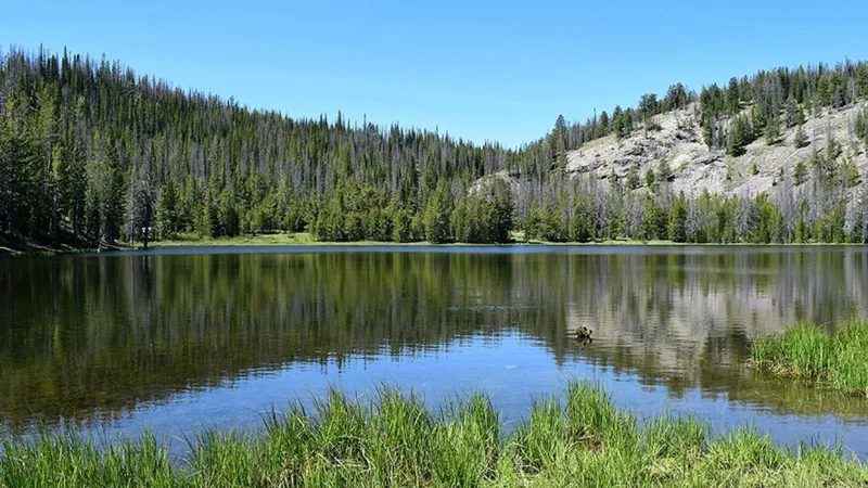 Central Idaho Dispatch Zone shifts to high fire danger today amid dry conditions