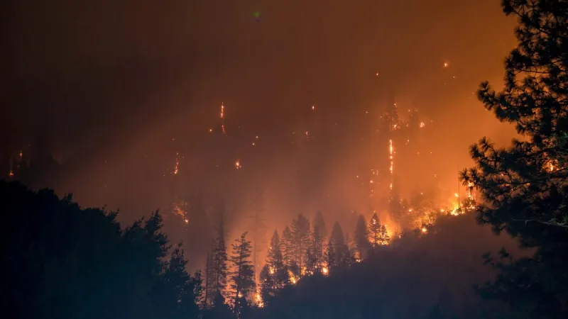 Idaho Woman Calls Wildfire Warning Clickbait