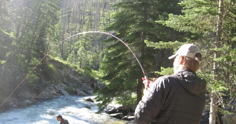 June 16, 2026 South Fork Salmon River Chinook Update