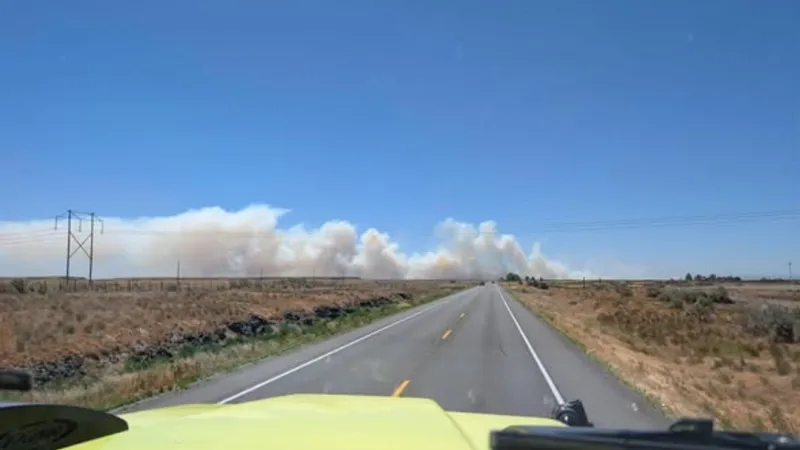 BLM, Great Basin crews battle 8,000-acre Median Fire near Wendell, Idaho