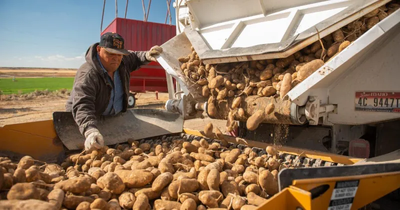 Idaho farmers are hoping Congress can get updated farm bill across finish line