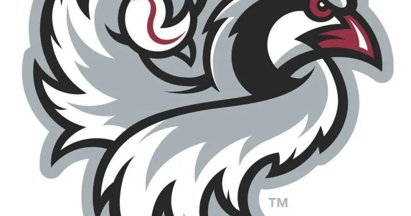 Chukars outplayed by Mobiles in 15-8 loss