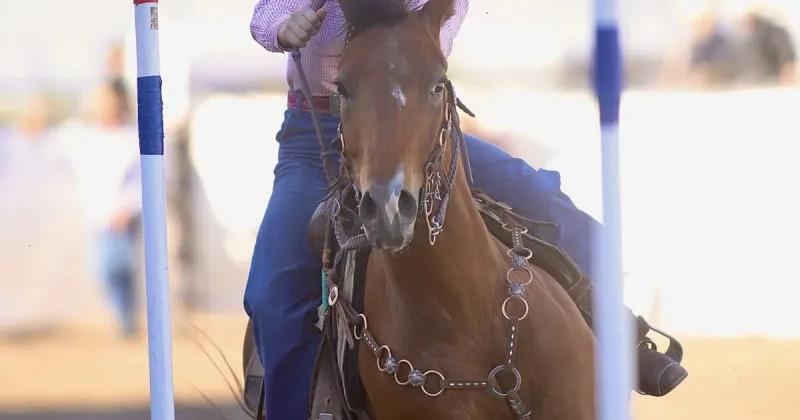 Short Go and Bright Eyes: Archer's Charly Miller and her horse friend Short Go play the racing game