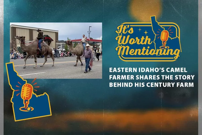 His camels make people smile. This Idaho farmer's story will too