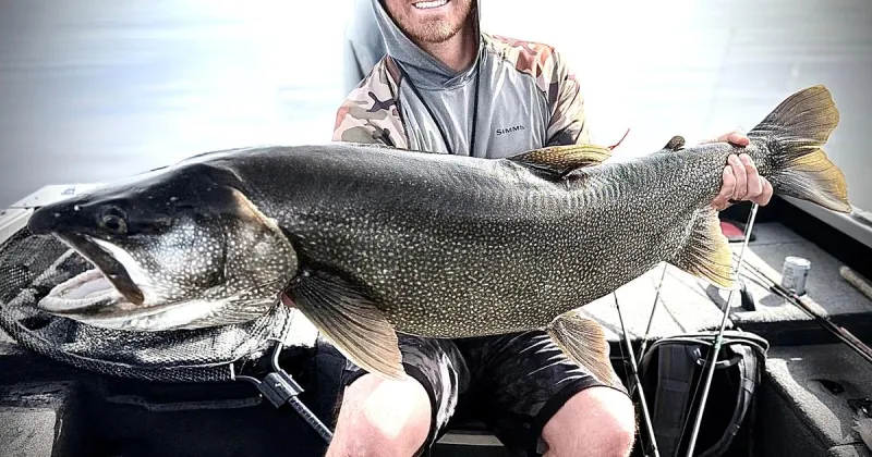 Idaho Falls angler lands 43.25-inch lake trout...and returns to the Idaho record books