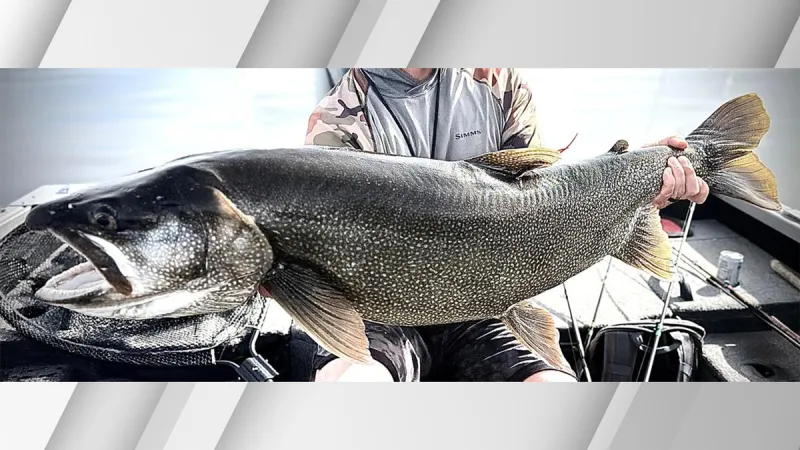 Idaho Falls Angler lands 43.25-inch lake trout, and returns to the Idaho record books