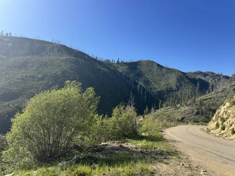 Idaho Jeep Trails: Some of the Best Off-Road Adventures in the Gem State