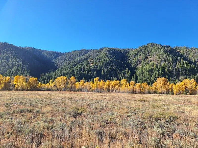 Southern Idaho is Going to Get a Quick Taste of Autumn