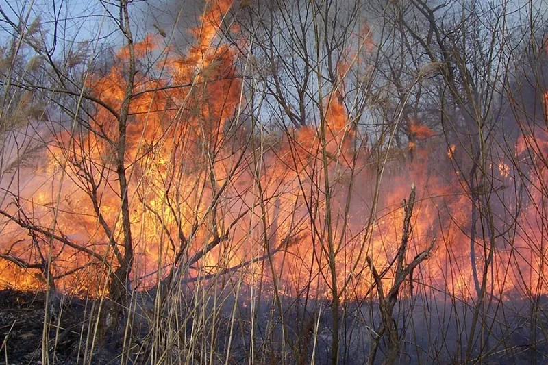 Most Homes Don't Burn the Way You Think They Do