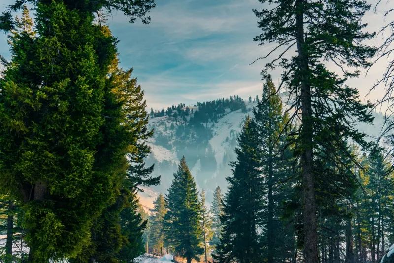 Spend July 4 Exploring Idaho: Free Day Access to Idaho State Parks