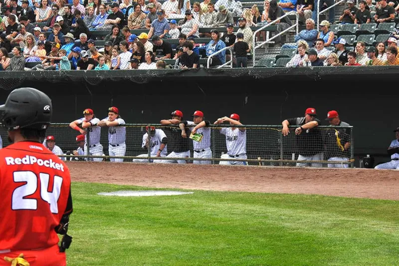 Chukar skipper resigns after 7-24 start