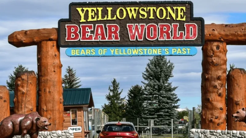Report: Bomb threat at Yellowstone Bear World prompts evacuations