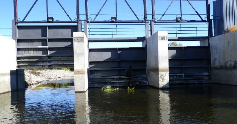 Fish salvage order issued for the Big Wood River below Magic Dam and the Richfield Canal Diversion