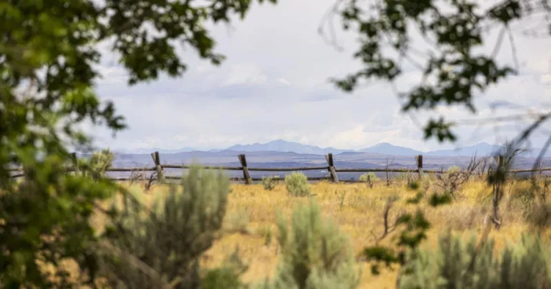 Neher Park wildlife refuge, home to owls, eagles, and other critters