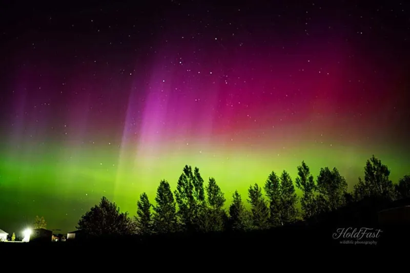 Gallery: Here are your photos of the Northern Lights