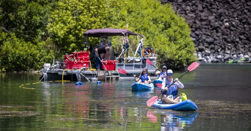 Volunteers take action to restore Blue Hearts Spring to its natural, blue beauty