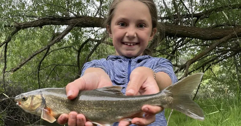 Young angler lands a new state record chiselmouth. Also, what is a chiselmouth?