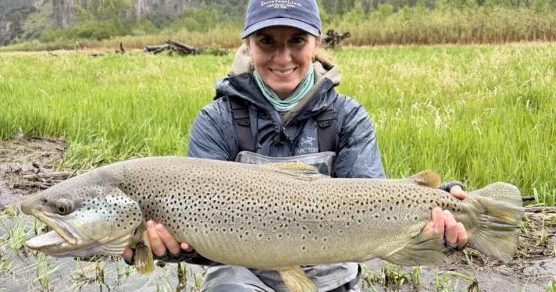 Georgia angler reels in a nearly 31 inch brown trout, establishing a new Idaho catch-and-release record