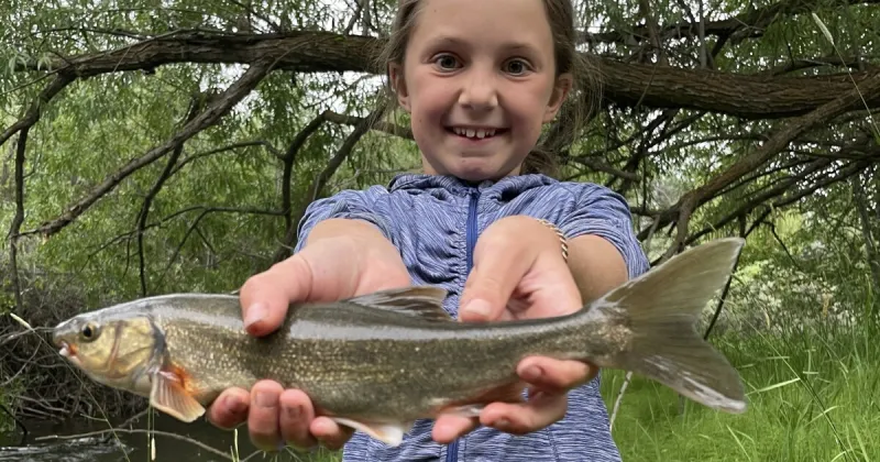 Young angler lands Idaho state record catch-and-release chiselmouth