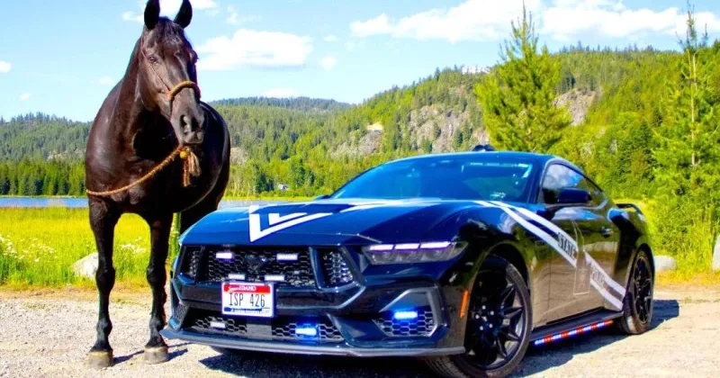 Voting underway as ISP competes for best-looking cruiser