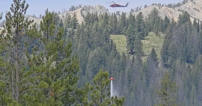 Cabin Creek Fire 50% contained in Sawtooth National Forest near Alturas Lake