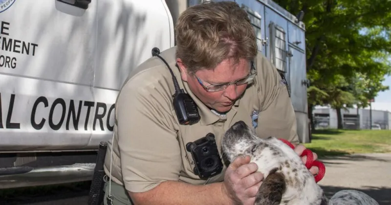 Keeping dogs out of the shelter: Twin Falls animal control officers work on returning pets directly to owners