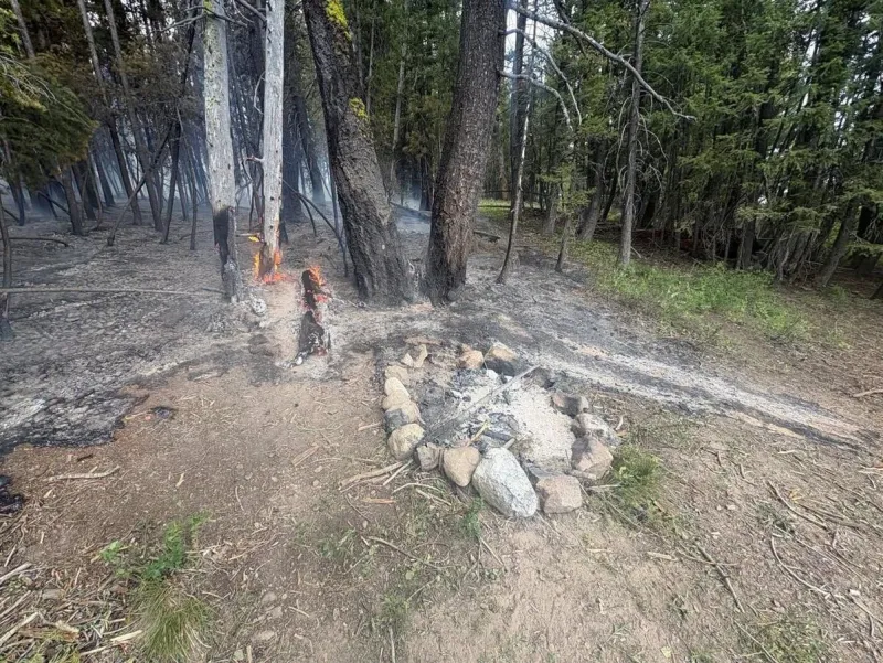 Forest Service Looking for Idaho Fire Bug
