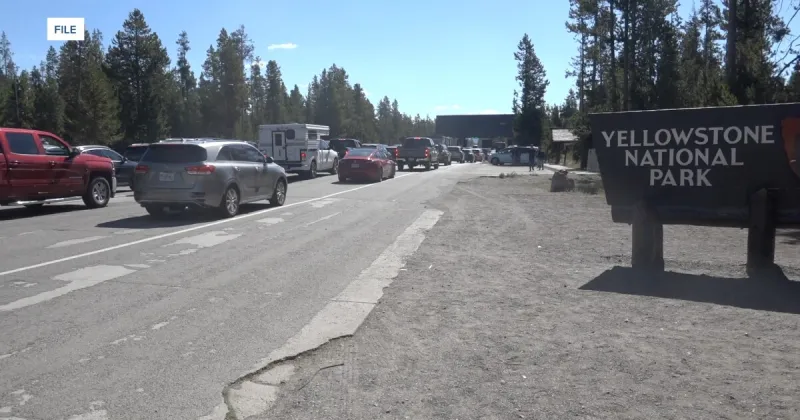 Photographer provides an update on the tourist attacked by a bison in Yellowstone
