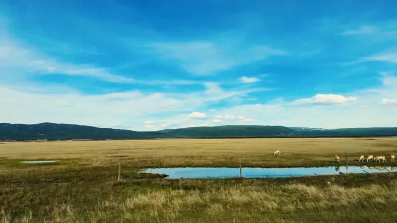 Controversial Henry's Lake Flats development given green light by Fremont County Commissioners
