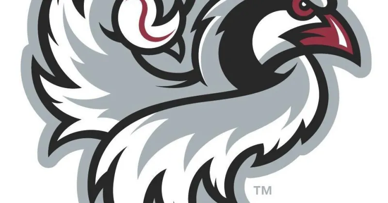 Chukars squander lead in loss to Raptors