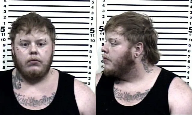 Deputies: Man arrested after dash cam video contradicts claim he didn't know he hit pedestrian