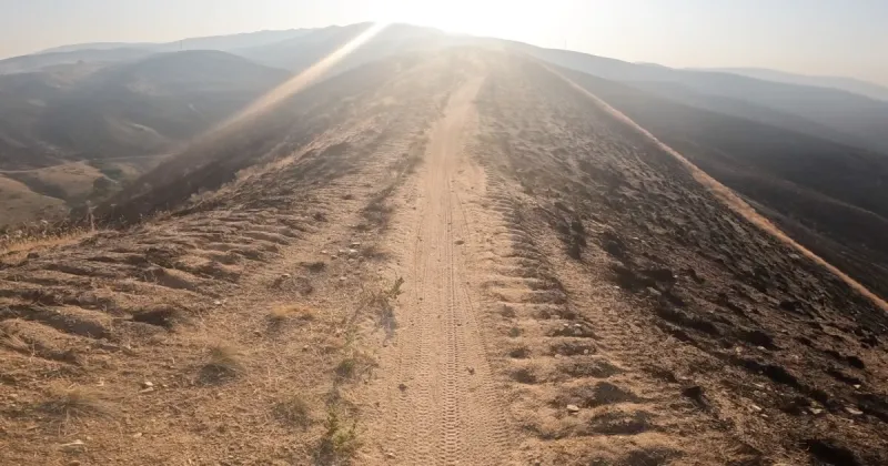 Checking out the trails that re-opened after the Claremont Fire burned the foothills