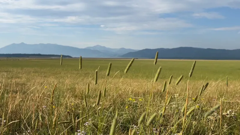 Changing times at Henry's Lake Flats: Fremont County reactions to the approval of Caldera Flats subdivision