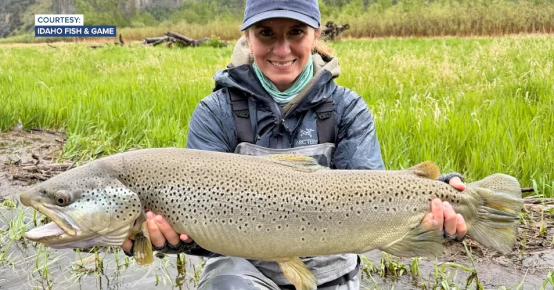 Anglers have broken 17 catch-and-release records in Idaho so far this year