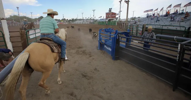 Behind the curtain: It takes a community to raise a rodeo