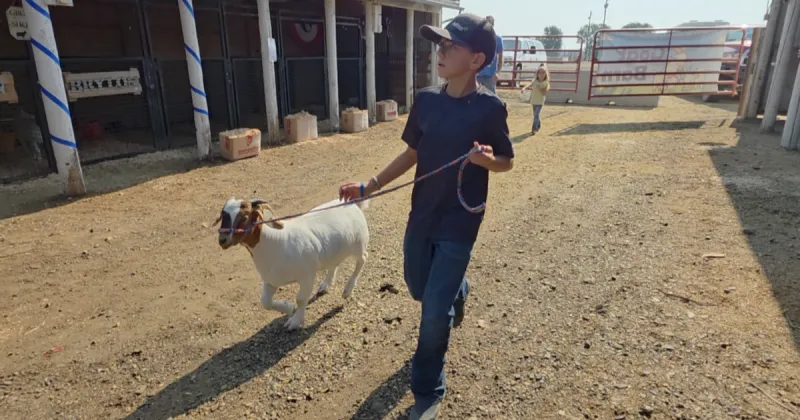Minidoka County Fair celebrates 78 years of agriculture and Western heritage