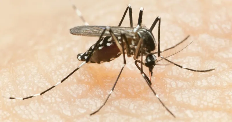 West Nile virus detected near Twin Falls